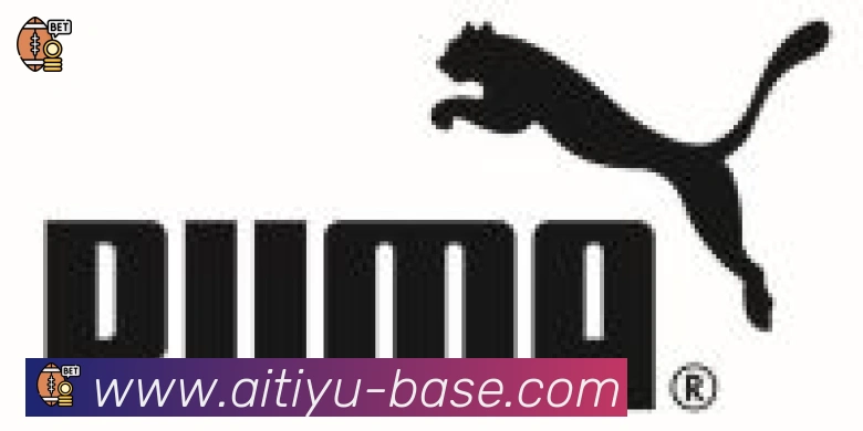 爱体育合作伙伴